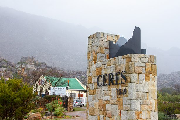 Government and Small Business Support